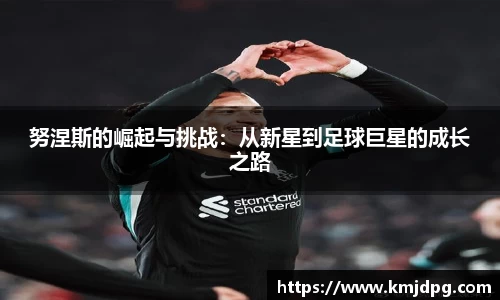 努涅斯的崛起与挑战：从新星到足球巨星的成长之路